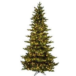 Vickerman 7.5' Natural Fraser Dura-Lit 800Ww, K194176Led, ^ Pre-Lit
