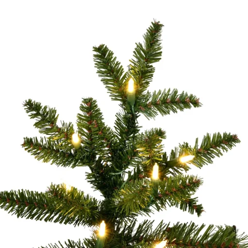 Vickerman 7.5' Natural Fraser Dura-Lit 800Ww, K194176Led, ^ Pre-Lit