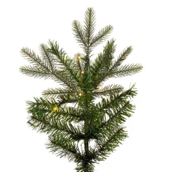 Sale 7.5' X 44" Douglas Fir Slim, 3Mm 1200Ww, K224078Led, General Gifts