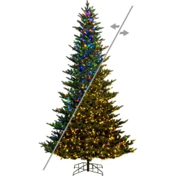 Vickerman 7.5' X 54" Natural Fraser 3Mm Led 1800Cc, K194178Ledcc, ^ Stocking / Skirt