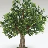 Cheap Albero Tree 13", , 59536 7.5"