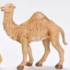 Cheap Baby Dromedary Camel, 7.5", , 52871 7.5"