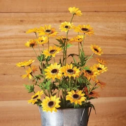 Hot Black Eyed Susan Spray General Gifts