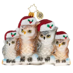 Christopher Radko Cr, It's Owl In The Family, 1020506, ^ Blown Glass