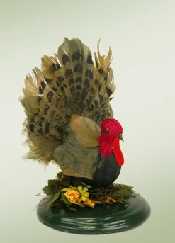 Byers Choice Fall Turkey On Base, , 670^ Byers Choice Carolers