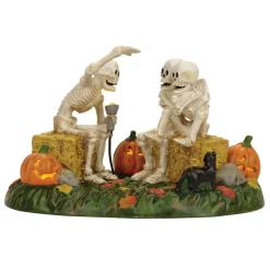 New Hv, Scary Skeleton Stories, 4056710, Halloween Village Snow Village