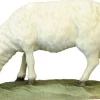 Best Koult - Sheep Grazing Speciality