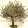 Shop Olive Tree Small, 5" , 55517 Religious