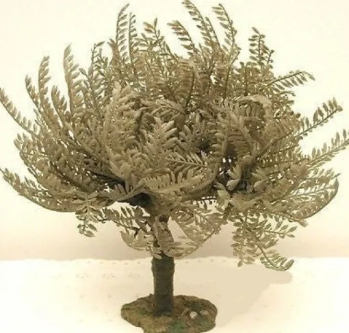 Shop Olive Tree Small, 5" , 55517 Religious