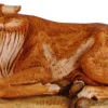 Best Ox Seated 50", , 52334 50"