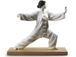 Online Tai Chi Lladro
