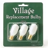 Shop Va, Replacement Light Bulbs, 56.99244, Christmas Story