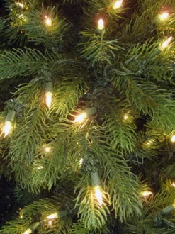 Neuman Tree Virginia Fir 9', 89590L, ^ Pre-Lit